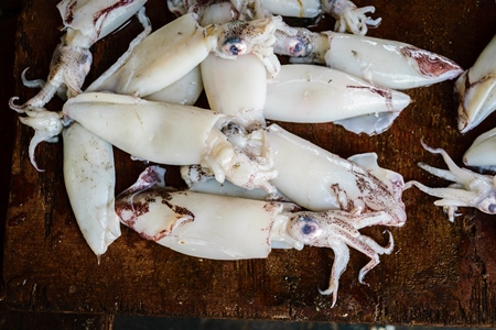 Squid or cuttlefish  on sale at a fish market