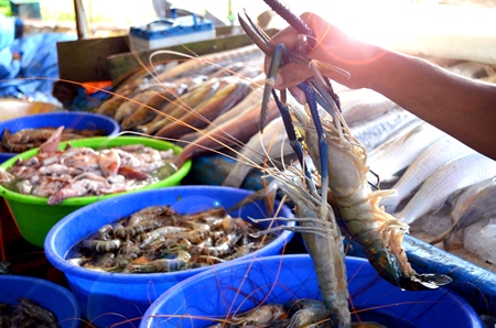 Prawns and other sea creatures at fish market in blue tubs