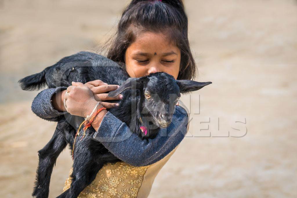 Cute girl holding black baby goat in her arms with brown background