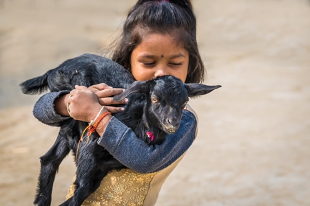 Cute girl holding black baby goat in her arms with brown background