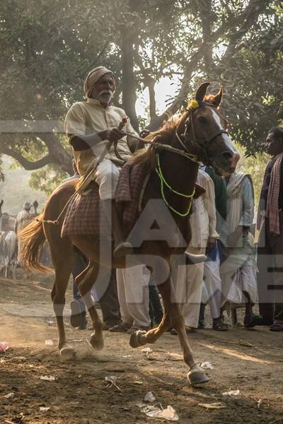 Horse in a horse race at Sonepur cattle fair with spectators watching