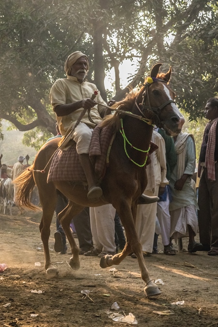 Horse in a horse race at Sonepur cattle fair with spectators watching