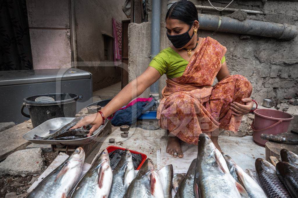 Roadside Indian fish stall or market with woman weighing fish in Pune, India, 2021