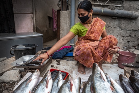 Roadside Indian fish stall or market with woman weighing fish in Pune, India, 2021