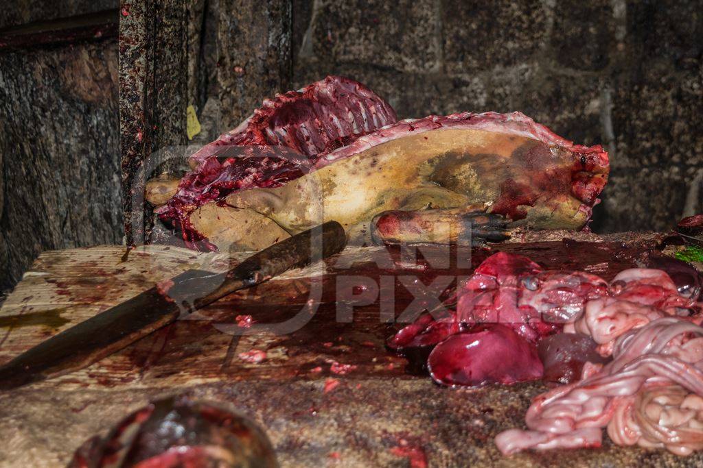 Dead dogs being cut up for meat at a dog market in Kohima in Nagaland, India, 2018