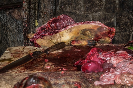 Dead dogs being cut up for meat at a dog market in Kohima in Nagaland, India, 2018