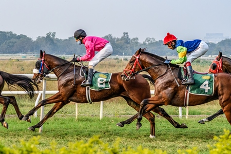 Indian horses racing in horse race at Pune racecourse, Maharashtra, India, 2021