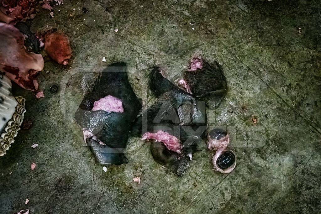 Pieces of buffalo at a meat market inside New Market, Kolkata, India, 2022