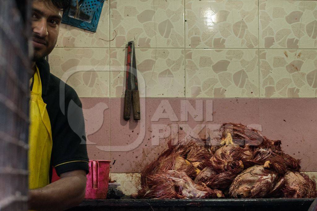 Man removing feathers from pile of dead chickens at a chicken shop
