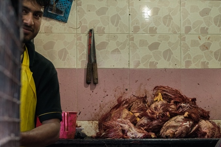 Man removing feathers from pile of dead chickens at a chicken shop