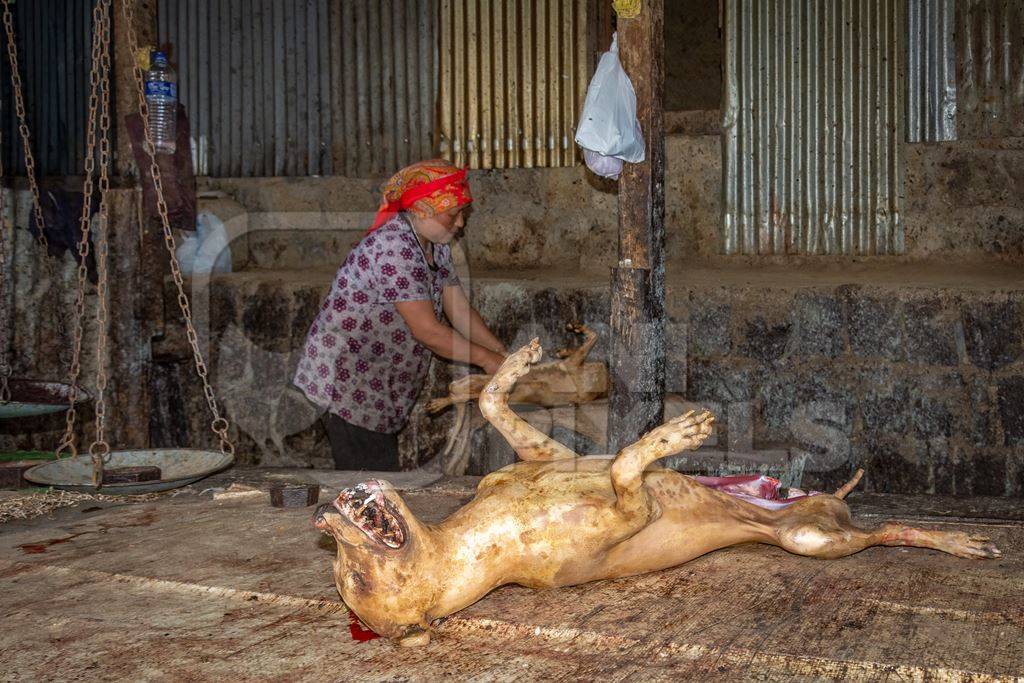 Body of a dead Indian dog slaughtered for meat at a dog meat market in Kohima, Nagaland, in the Northeast of India, 2018