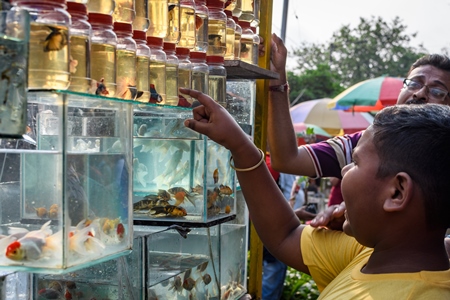 People pointing at fish in small containers and tanks in the aquarium trade on sale at Galiff Street pet market, Kolkata, India, 2022