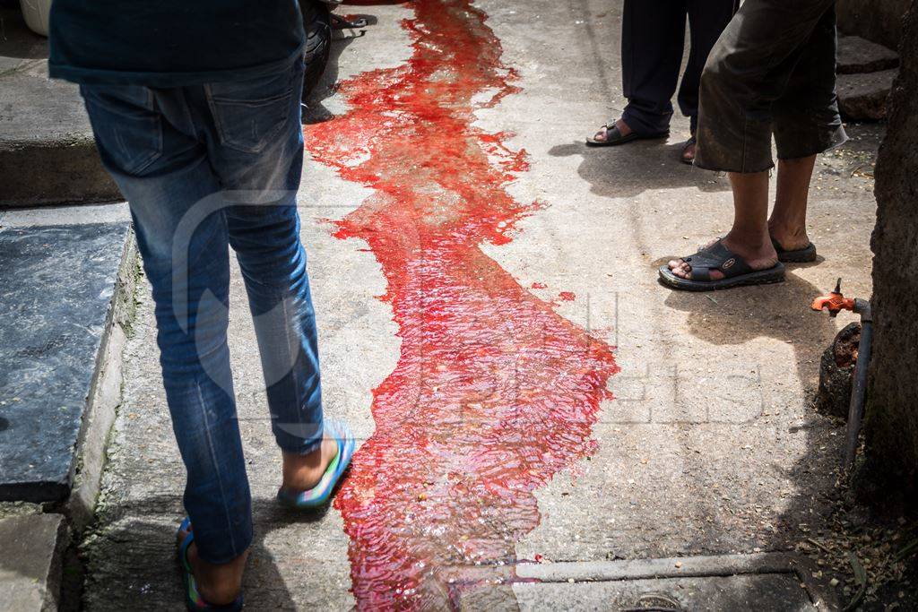 River of blood in street from religious slaughter at Eid