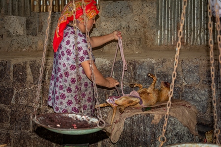 Body of a dead Indian dog slaughtered for meat at a dog meat market in Kohima, Nagaland, in the Northeast of India, 2018