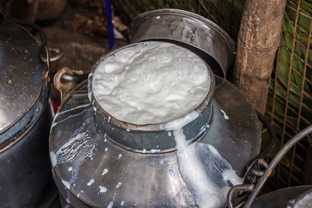 Man pouring dairy milk into a metal dairy can or bucket in an urban dairy in Pune in Maharashtra