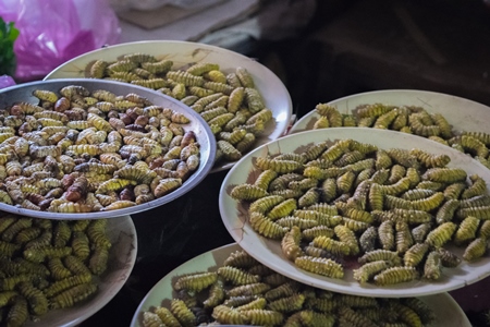 Plates of hornet grubs on sale for eating at an exotic market