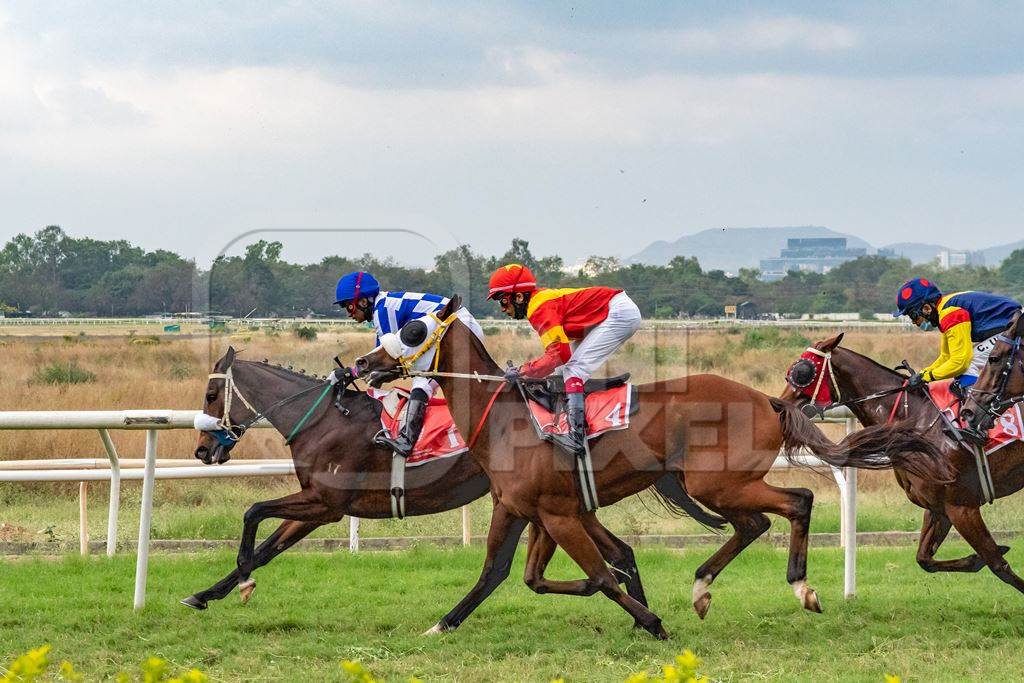 Indian horses racing in horse race at Pune racecourse, Maharashtra, India, 2021