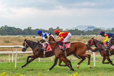 Indian horses racing in horse race at Pune racecourse, Maharashtra, India, 2021