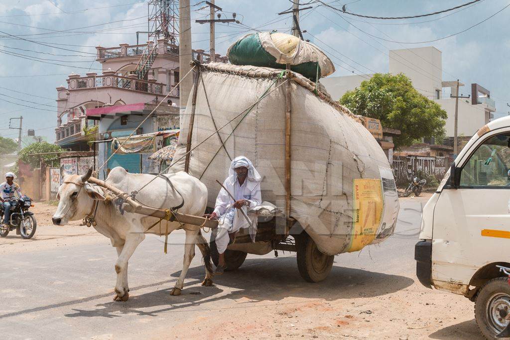 Working bull or bullock pulling large heavy overloaded cart on road in urban city in India