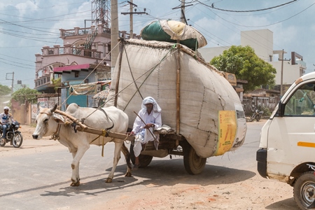 Working bull or bullock pulling large heavy overloaded cart on road in urban city in India