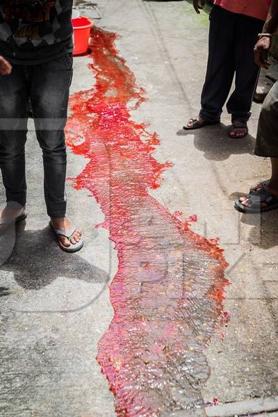 River of blood in street from religious slaughter at Eid