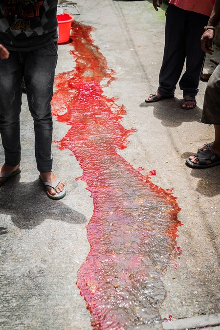 River of blood in street from religious slaughter at Eid