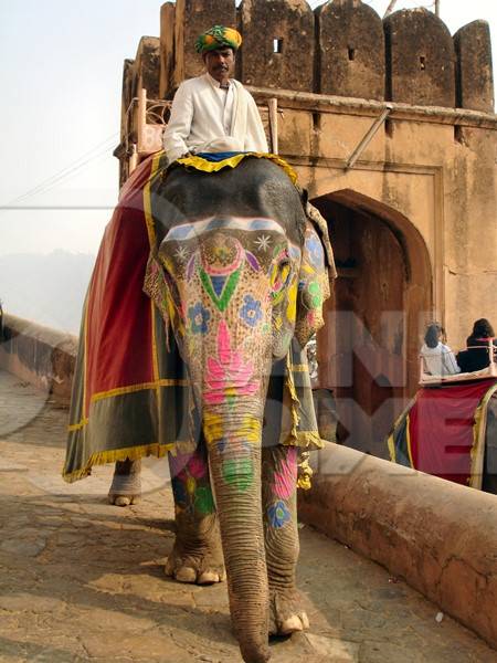 Man sitting on painted elephant  at Amber Fort