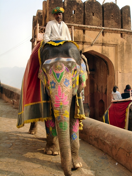 Man sitting on painted elephant  at Amber Fort