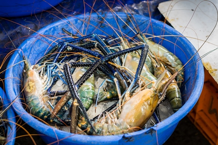 Blue bucket of crabs on sale at a fish market