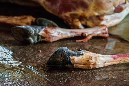 Legs of buffalo at Crawford meat market in Mumbai