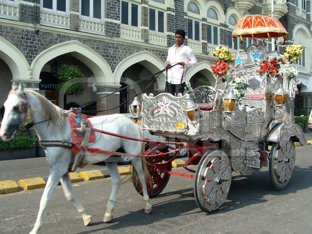 White carriage horse on the road in Mumbai
