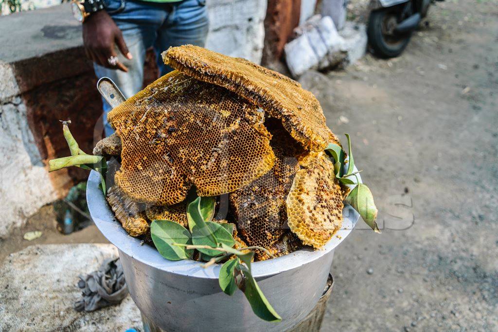 Pieces of yellow honeycomb with dead honey bees visible on sale on the side of the road