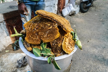 Pieces of yellow honeycomb with dead honey bees visible on sale on the side of the road