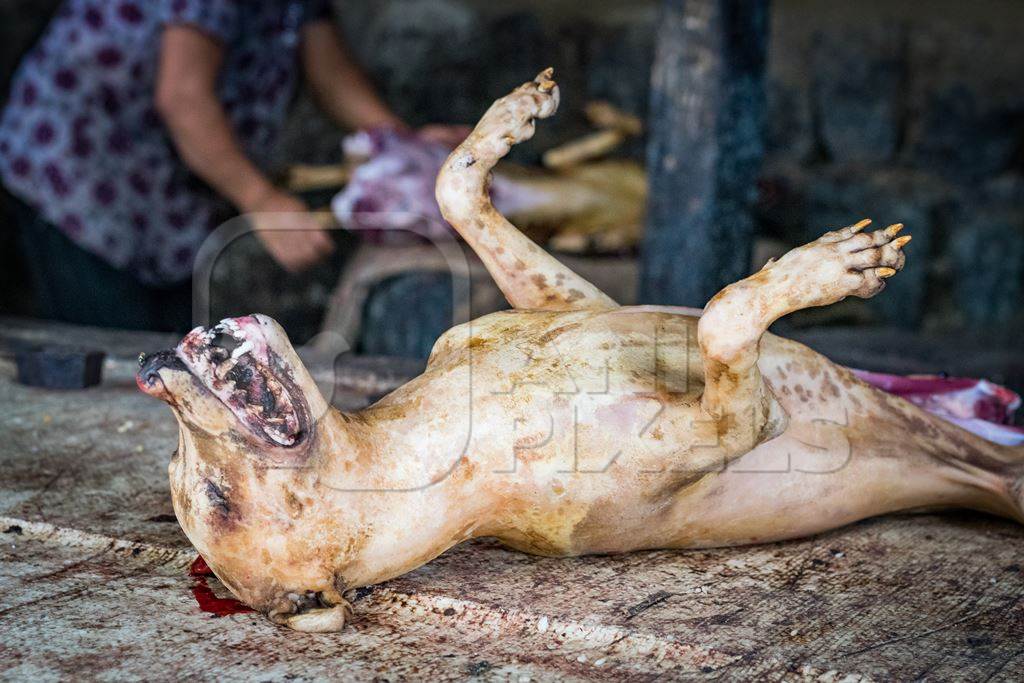 Dead dog on sale as dog meat at a dog market in Nagaland in the Northeast of India, 2018
