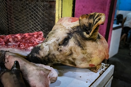 Pig head at the pig meat market inside New Market, Kolkata, India, 2022