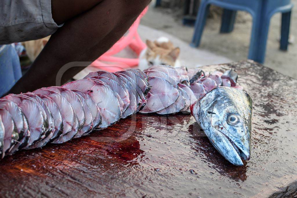 Indian seer fish cut up by seller at Malvan fish market on beach in Malvan, Maharashtra, India, 2022