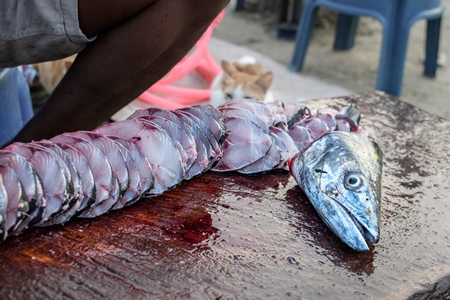 Indian seer fish cut up by seller at Malvan fish market on beach in Malvan, Maharashtra, India, 2022