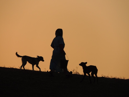 Dark silhouette of woman and two dogs against orange sky background
