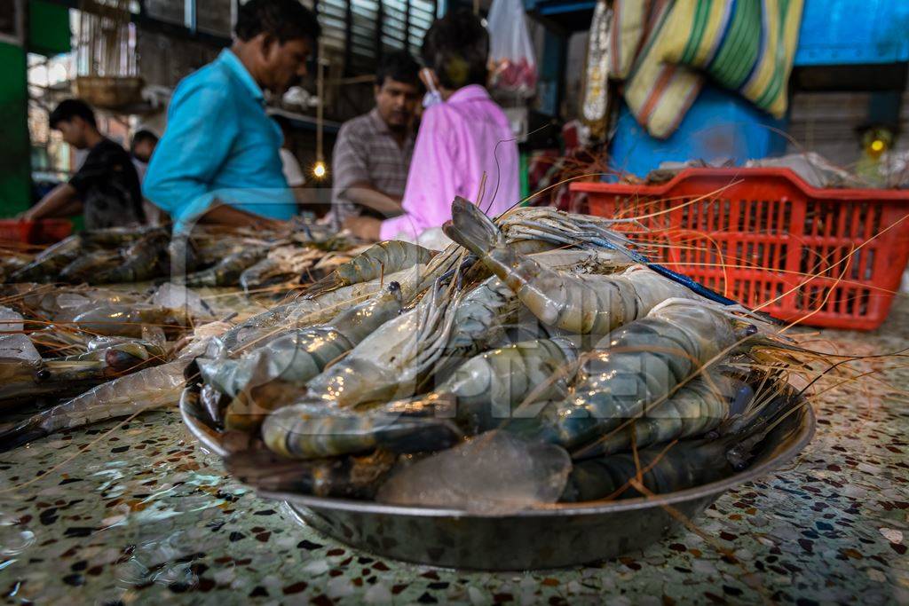 Dead prawns or shrimp at the fish market inside New Market, Kolkata, India, 2022