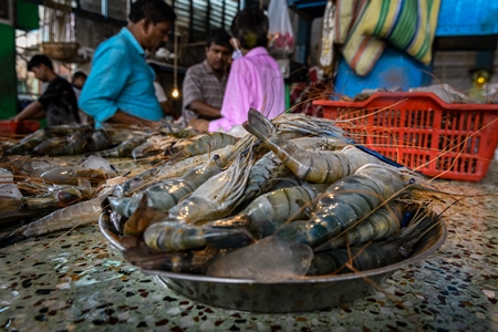 Dead prawns or shrimp at the fish market inside New Market, Kolkata, India, 2022