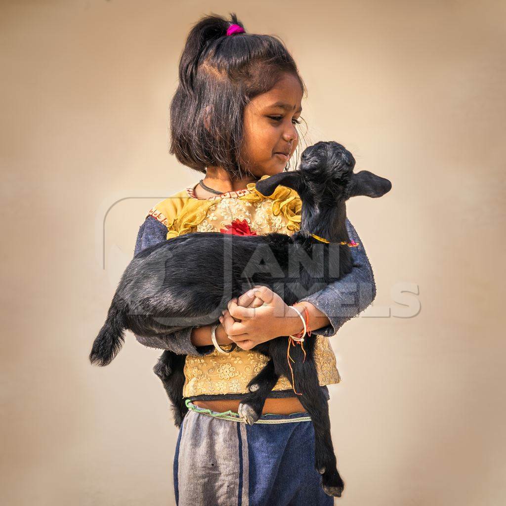 Cute girl holding black baby goat in her arms with brown background