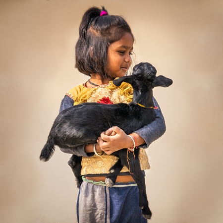 Cute girl holding black baby goat in her arms with brown background
