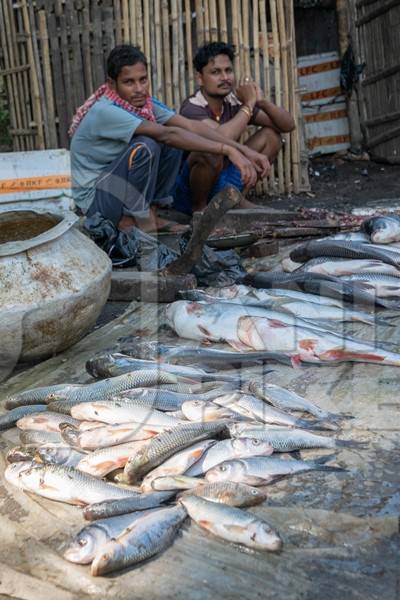 Fish on sale at a fish market at Sonepur horse fair or mela in Bihar, India
