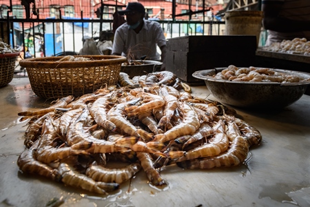 Dead prawns or shrimp at the fish market inside New Market, Kolkata, India, 2022