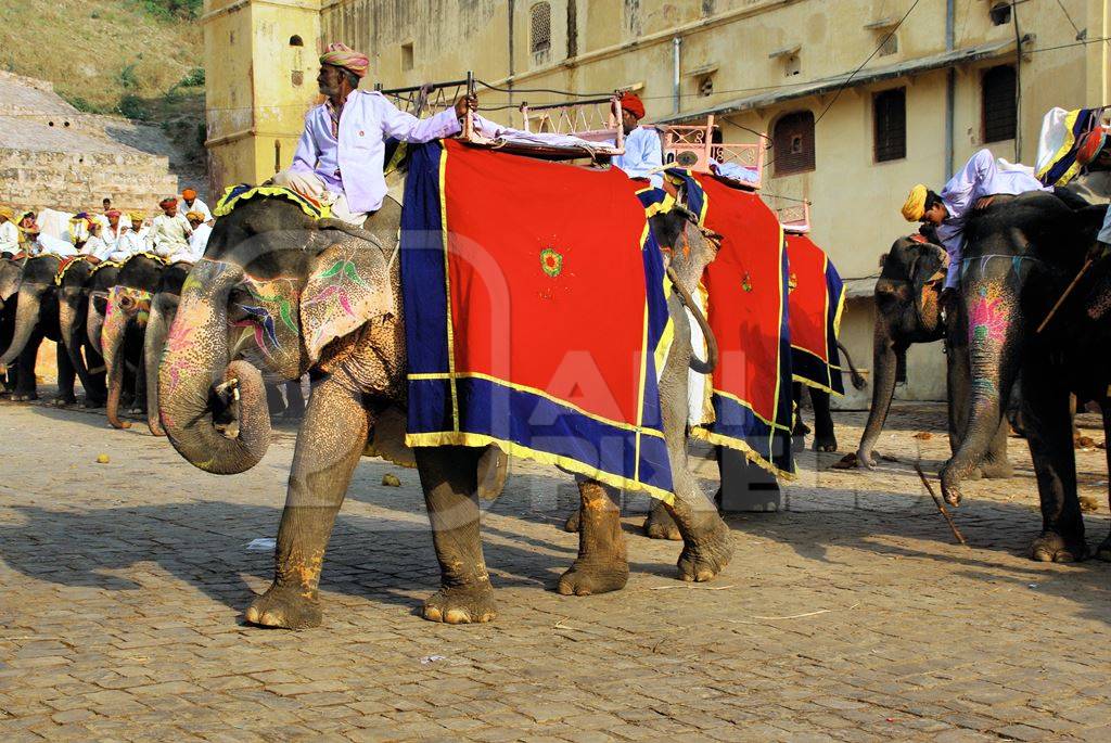 Painted and decorated elephants used for tourist rides at Amber Fort and Palace