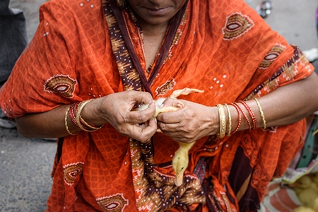 Baby duck or duckling examined for sex on sale at Galiff Street pet market, Kolkata, India, 2022