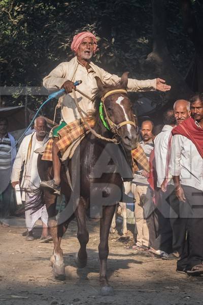 Man riding brown horse in a horse race at Sonepur cattle fair with spectators watching