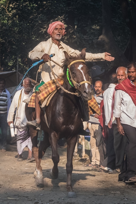 Man riding brown horse in a horse race at Sonepur cattle fair with spectators watching