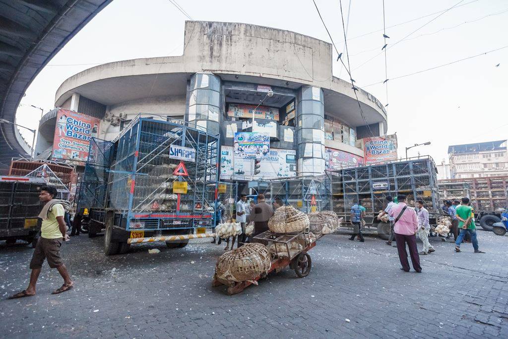 Broiler chickens raised for meat being unloaded from transport trucks near Crawford meat market in Mumbai