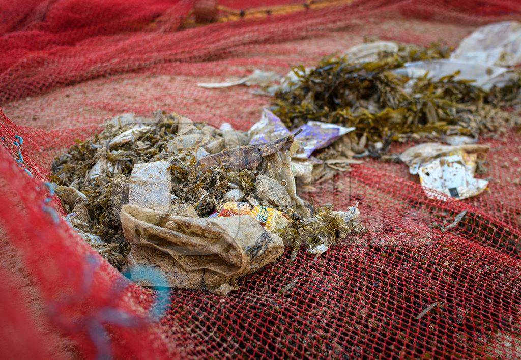 Indian fishing nets with crabs, small fish and plastic pollution trapped in net, on beach in Maharashtra, India, 2022